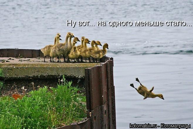 Ну вот... на одного меньше стало...... Котоматрица: Ну вот... на одного меньше стало...