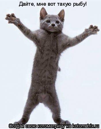 Дайте, мне вот такую рыбу!... Котоматрица: Дайте, мне вот такую рыбу!