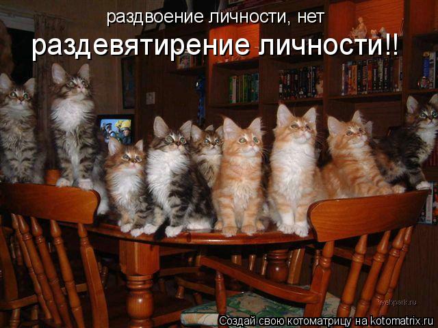 раздвоение личности, нет раздевятирение личности!!... Котоматрица: раздвоение личности, нет раздевятирение личности!!