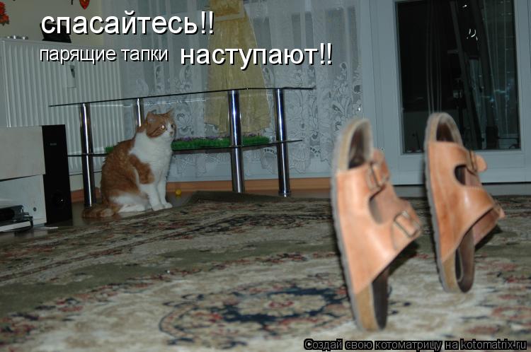 спасайтесь!! парящие тапки наступают!!... Котоматрица: спасайтесь!! парящие тапки наступают!!