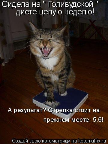 Сидела на " Голивудской " диете целую неделю! А результат? Стрелка стоит на прежнем месте: 5.6!... Котоматрица: Сидела на " Голивудской " диете целую неделю! А результат? Стрелка стоит на прежнем месте: 5.6!
