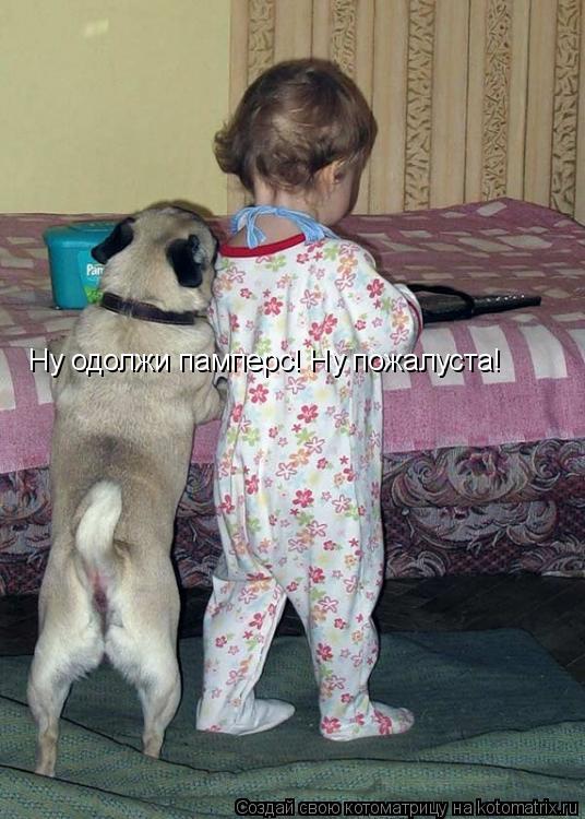 Ну одолжи памперс! Ну пожалуста!... Котоматрица: Ну одолжи памперс! Ну пожалуста!