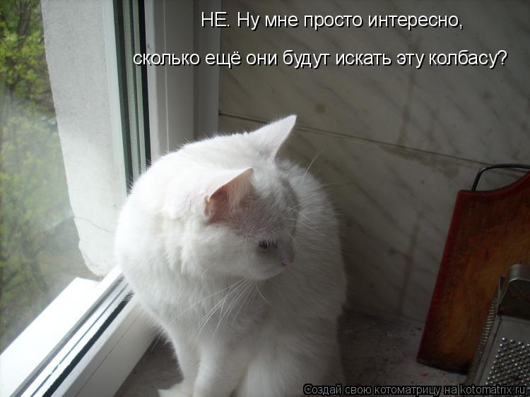 НЕ. Ну мне просто интересно, сколько ещё они будут искать эту колбасу?... Котоматрица: НЕ. Ну мне просто интересно, сколько ещё они будут искать эту колбасу?
