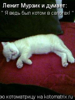 Лежит Мурзик и думает: " Я ведь был котом в сапогах! "... Котоматрица: Лежит Мурзик и думает: " Я ведь был котом в сапогах! "