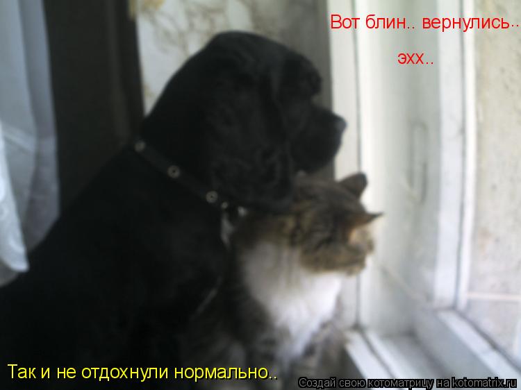 Вот блин.. вернулись .. эхх.. Так и не отдохнули нормально..... Котоматрица: Вот блин.. вернулись .. эхх.. Так и не отдохнули нормально..