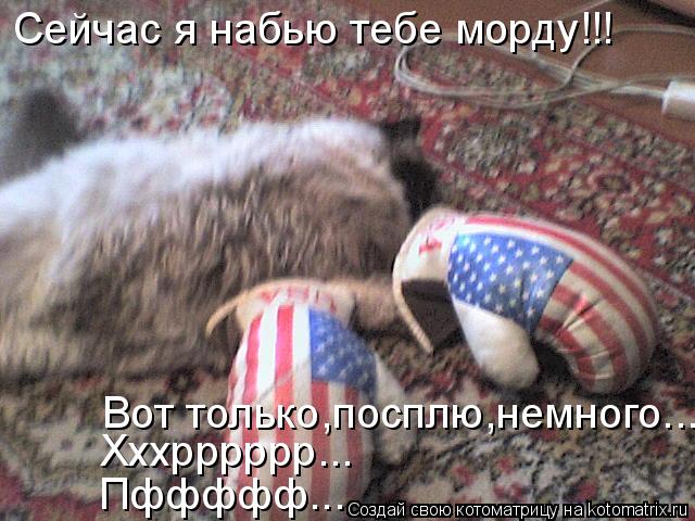 Сейчас я набью тебе морду!!! Вот только,посплю,немного... Хххрррррр... Пффффф...... Котоматрица: Сейчас я набью тебе морду!!! Вот только,посплю,немного... Хххрррррр... Пффффф...