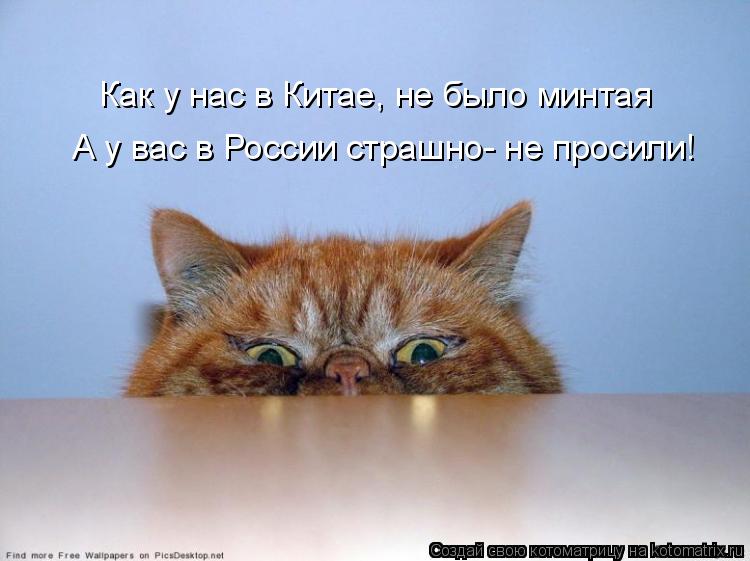 Как у нас в Китае, не было минтая А у вас в России страшно- не просили!... Котоматрица: Как у нас в Китае, не было минтая А у вас в России страшно- не просили!