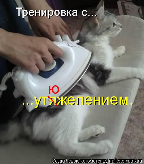 Тренировка с... ...утяжелением. --- ю... Котоматрица: Тренировка с... ...утяжелением. --- ю