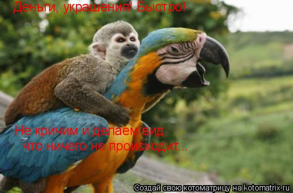 Деньги, украшения! Быстро! Не кричим и делаем вид что ничего не происходит...... Котоматрица: Деньги, украшения! Быстро! Не кричим и делаем вид что ничего не происходит...
