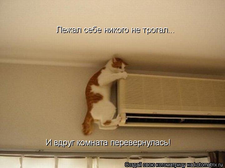 Лежал себе никого не трогал... И вдруг комната перевернулась!... Котоматрица: Лежал себе никого не трогал... И вдруг комната перевернулась!