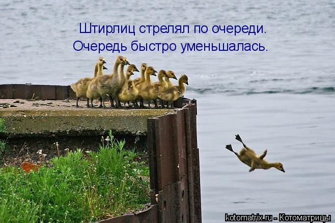 Штирлиц стрелял по очереди. Очередь быстро уменьшалась.... Котоматрица: Штирлиц стрелял по очереди. Очередь быстро уменьшалась.