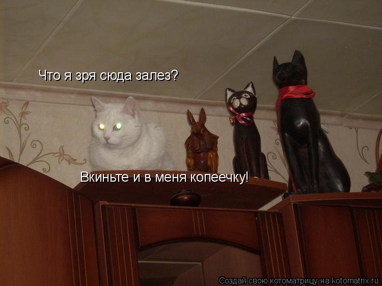 Что я зря сюда залез? Вкиньте и в меня копеечку!... Котоматрица: Что я зря сюда залез? Вкиньте и в меня копеечку!