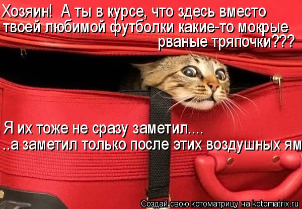 Хозяин! А ты в курсе, что здесь вместо твоей любимой футболки какие-то мокрые рваные тряпочки??? Я и... Котоматрица: Хозяин! А ты в курсе, что здесь вместо твоей любимой футболки какие-то мокрые рваные тряпочки??? Я их тоже не сразу заметил.... ..а заметил толь