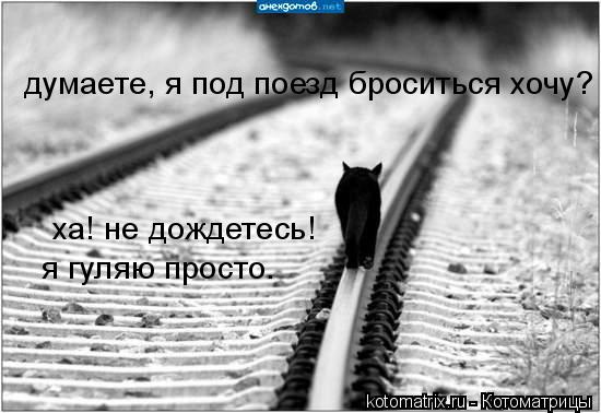 думаете, я под поезд броситься хочу? ха! не дождетесь! я гуляю просто.... Котоматрица: думаете, я под поезд броситься хочу? ха! не дождетесь! я гуляю просто.