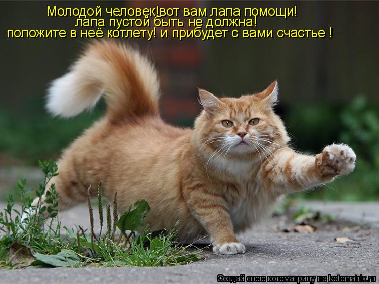 Молодой человек!вот вам лапа помощи! лапа пустой быть не должна! положите в неё котлету! и прибудет с... Котоматрица: Молодой человек!вот вам лапа помощи! лапа пустой быть не должна! положите в неё котлету! и прибудет с вами счастье !