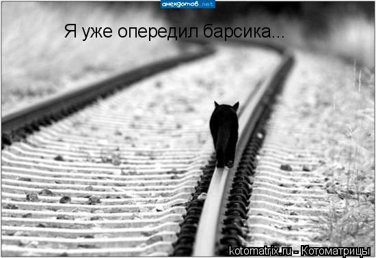 Я уже опередил барсика...... Котоматрица: Я уже опередил барсика...