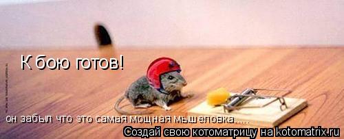 К бою готов! он забыл что это самая мощная мышеловка........ Котоматрица: К бою готов! он забыл что это самая мощная мышеловка.....