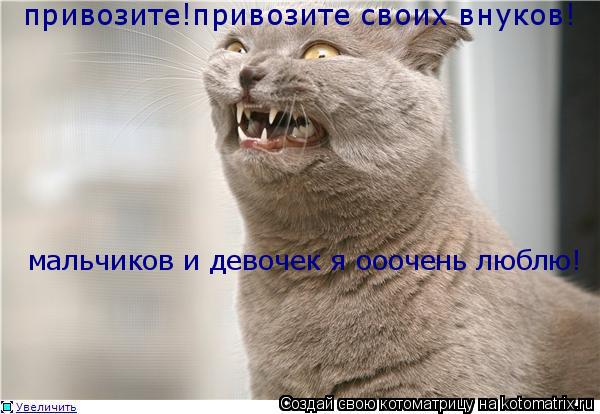 привозите!привозите своих внуков! мальчиков и девочек я ооочень люблю!... Котоматрица: привозите!привозите своих внуков! мальчиков и девочек я ооочень люблю!