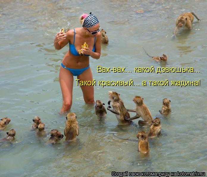 Вах-вах... какой дэвюшька... Такой красивый... а такой жадина!... Котоматрица: Вах-вах... какой дэвюшька... Такой красивый... а такой жадина!
