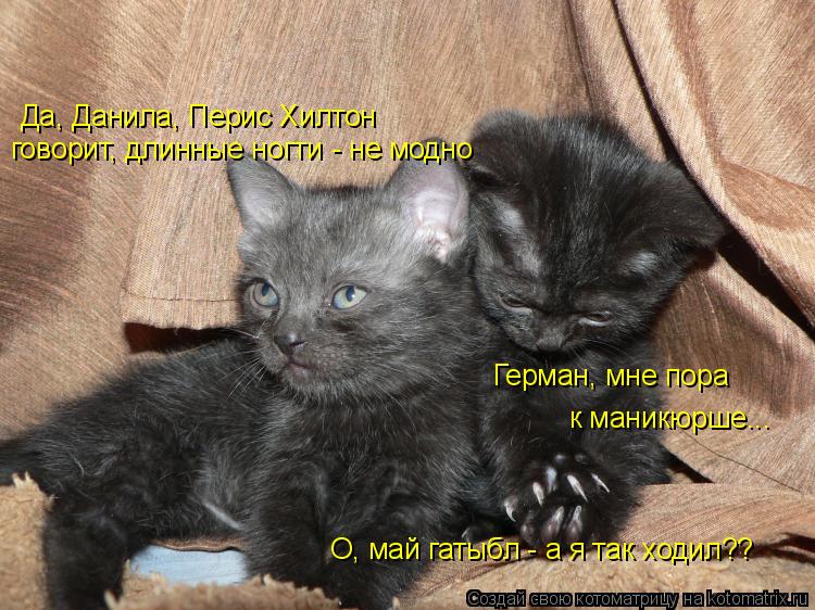 Герман, мне пора к маникюрше... Да, Данила, Перис Хилтон говорит, длинные ногти - не модно О, май га... Котоматрица: Герман, мне пора к маникюрше... Да, Данила, Перис Хилтон говорит, длинные ногти - не модно О, май гатыбл - а я так ходил??