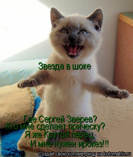 Звезда в шоке Где Сергей Зверев? Кто мне сделает прическу? Я же Крутой перец, И мне нужен ирокез!!!... Котоматрица: Звезда в шоке Где Сергей Зверев? Кто мне сделает прическу? Я же Крутой перец, И мне нужен ирокез!!!