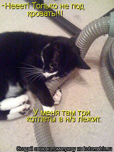 Нееет! Только не под кровать!!! У меня там три котлеты в н/з лежит. -... Котоматрица: Нееет! Только не под кровать!!! У меня там три котлеты в н/з лежит. -
