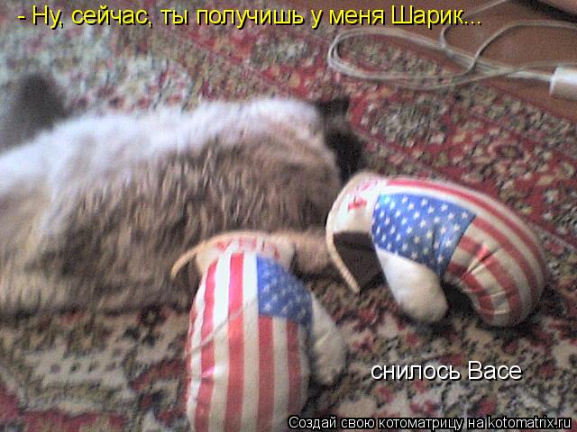 - Ну, сейчас, ты получишь у меня Шарик... снилось Васе... Котоматрица: - Ну, сейчас, ты получишь у меня Шарик... снилось Васе