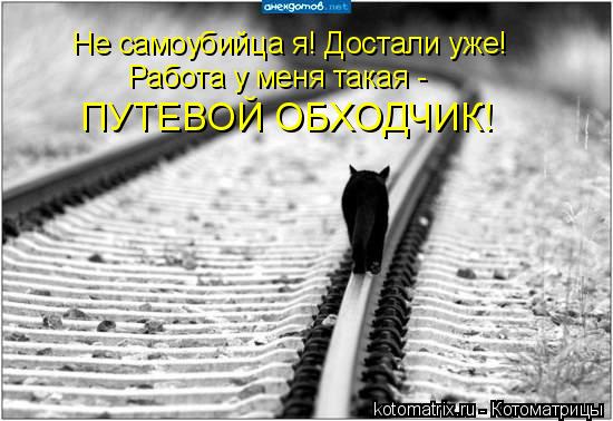 Не самоубийца я! Достали уже! Работа у меня такая - ПУТЕВОЙ ОБХОДЧИК!... Котоматрица: Не самоубийца я! Достали уже! Работа у меня такая - ПУТЕВОЙ ОБХОДЧИК!