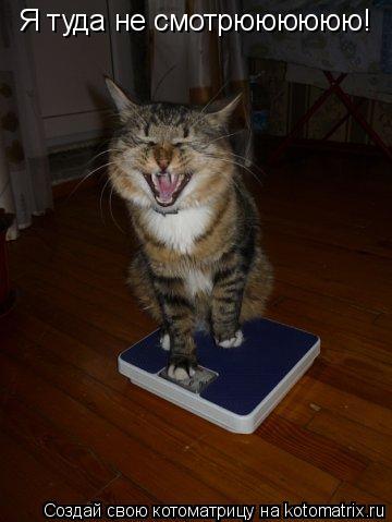 Я туда не смотрюююююю!... Котоматрица: Я туда не смотрюююююю!