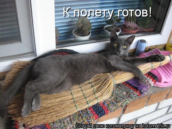 К полету готов!... Котоматрица: К полету готов!
