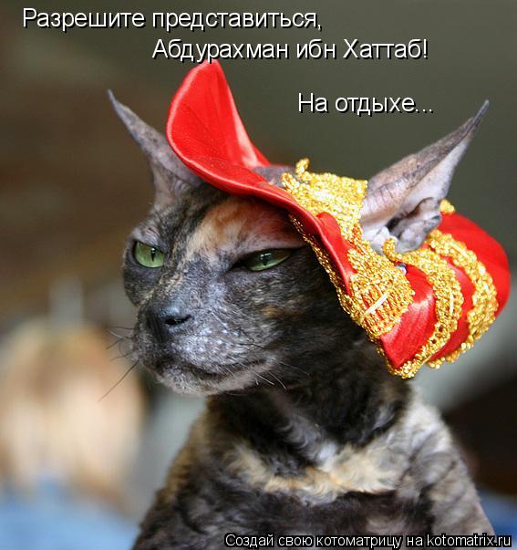 Разрешите представиться, Абдурахман ибн Хаттаб! На отдыхе...... Котоматрица: Разрешите представиться, Абдурахман ибн Хаттаб! На отдыхе...