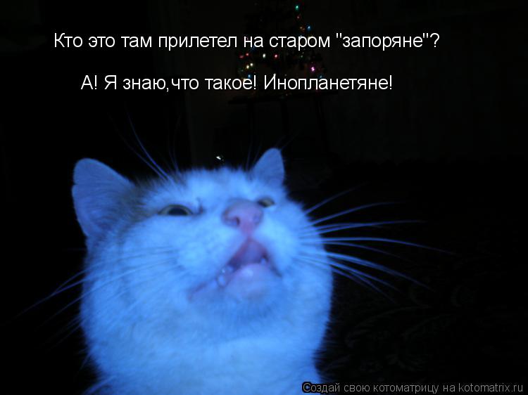 Кто это там прилетел на старом "запоряне"? А! Я знаю,что такое! Инопланетяне!... Котоматрица: Кто это там прилетел на старом "запоряне"? А! Я знаю,что такое! Инопланетяне!