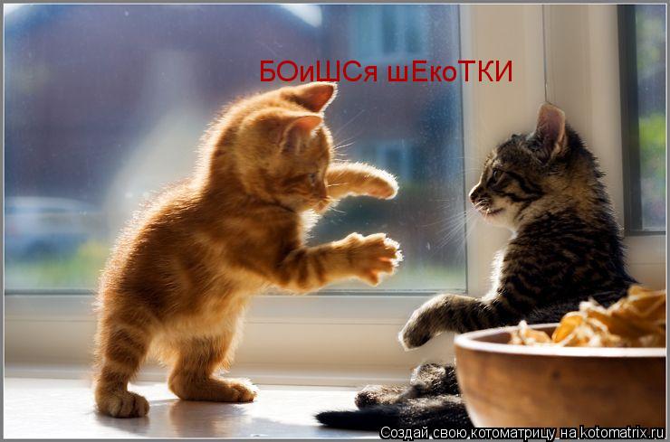 БОиШСя шЕкоТКИ... Котоматрица: БОиШСя шЕкоТКИ