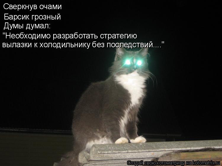 Сверкнув очами Барсик грозный Думы думал: "Необходимо разработать стратегию вылазки к холодильнику бе... Котоматрица: Сверкнув очами Барсик грозный Думы думал: "Необходимо разработать стратегию вылазки к холодильнику без последствий...."