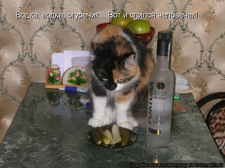 Водка, водка, огуречик... Вот и спился человечек!... Котоматрица: Водка, водка, огуречик... Вот и спился человечек!