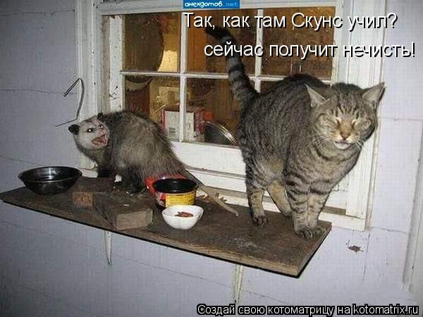 Так, как там Скунс учил? сейчас получит нечисть!... Котоматрица: Так, как там Скунс учил? сейчас получит нечисть!
