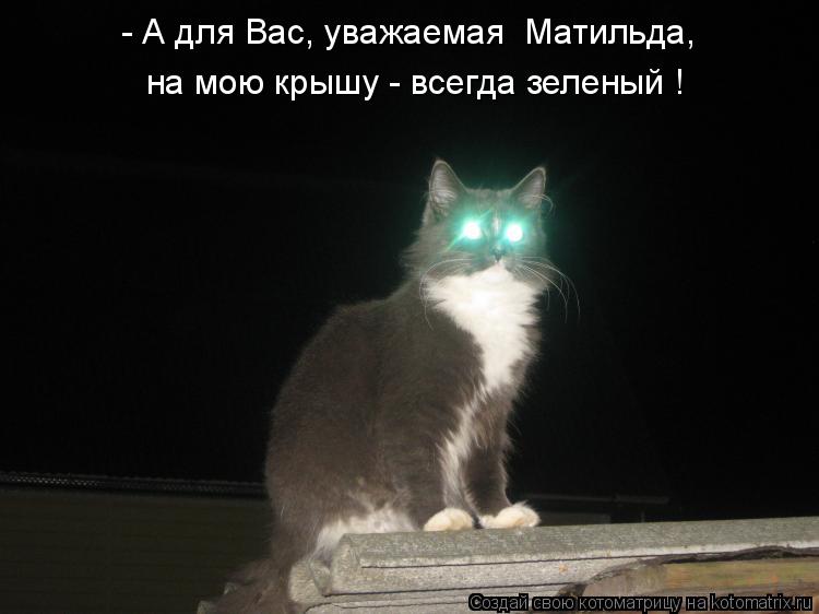 - А для Вас, уважаемая Матильда, на мою крышу - всегда зеленый !... Котоматрица: - А для Вас, уважаемая Матильда, на мою крышу - всегда зеленый !