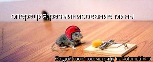 операция;разминирование мины... Котоматрица: операция;разминирование мины