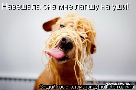 Навешала она мне лапшу на уши!... Котоматрица: Навешала она мне лапшу на уши!