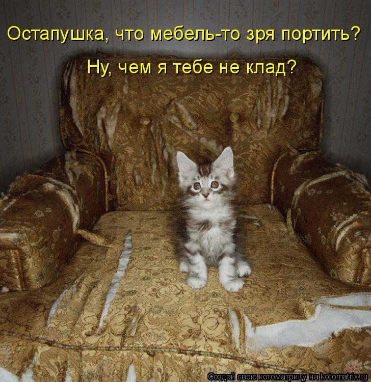 Остапушка, что мебель-то зря портить? Ну, чем я тебе не клад?... Котоматрица: Остапушка, что мебель-то зря портить? Ну, чем я тебе не клад?