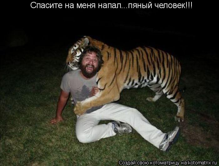 Спасите на меня напал...пяный человек!!!... Котоматрица: Спасите на меня напал...пяный человек!!!