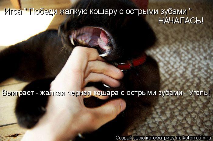 Игра " Победи жалкую кошару с острыми зубами " НАЧАЛАСЬ! Выиграет - жалкая черная кошара с острыми з... Котоматрица: Игра " Победи жалкую кошару с острыми зубами " НАЧАЛАСЬ! Выиграет - жалкая черная кошара с острыми зубами - Уголь!