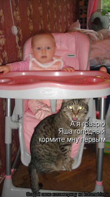 А я говарю Яша голодный кормите мну первым... Котоматрица: А я говарю Яша голодный кормите мну первым