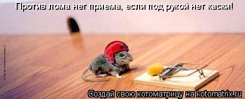 Против лома нет приема, если под рукой нет каски!... Котоматрица: Против лома нет приема, если под рукой нет каски!