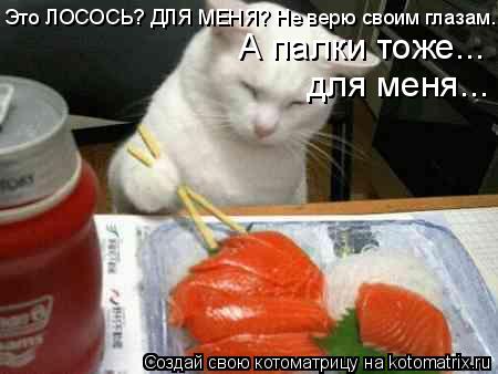 Это ЛОСОСЬ? ДЛЯ МЕНЯ? Не верю своим глазам... А палки тоже... для меня...... Котоматрица: Это ЛОСОСЬ? ДЛЯ МЕНЯ? Не верю своим глазам... А палки тоже... для меня...