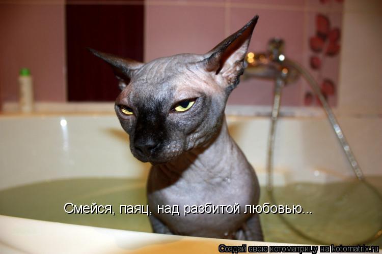 Котоматрица: Смейся, паяц, над разбитой любовью...