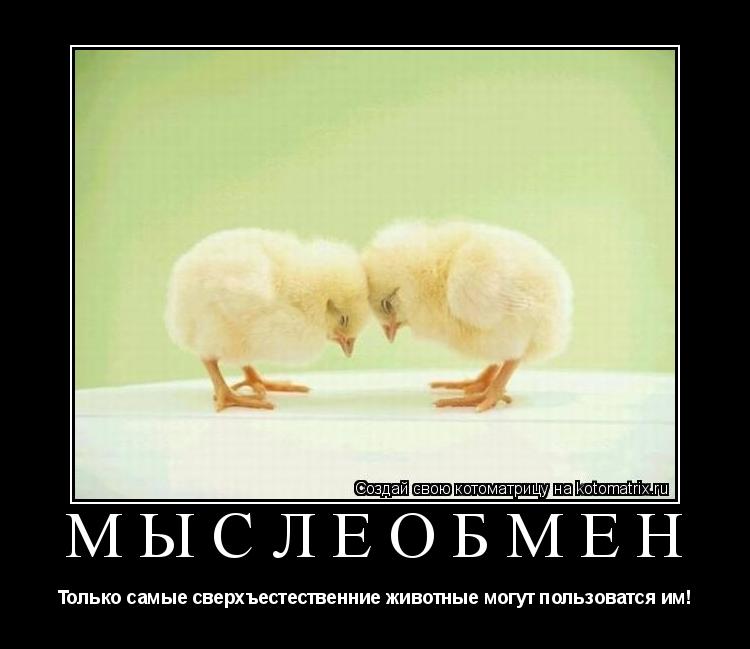 Мыслеобмен Только самые сверхъестественние животные могут пользоватся им!... Котоматрица: Мыслеобмен Только самые сверхъестественние животные могут пользоватся им!