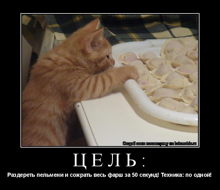 Цель: Раздереть пельмени и сожрать весь фарш за 50 секунд! Техника: по одной!... Котоматрица: Цель: Раздереть пельмени и сожрать весь фарш за 50 секунд! Техника: по одной!