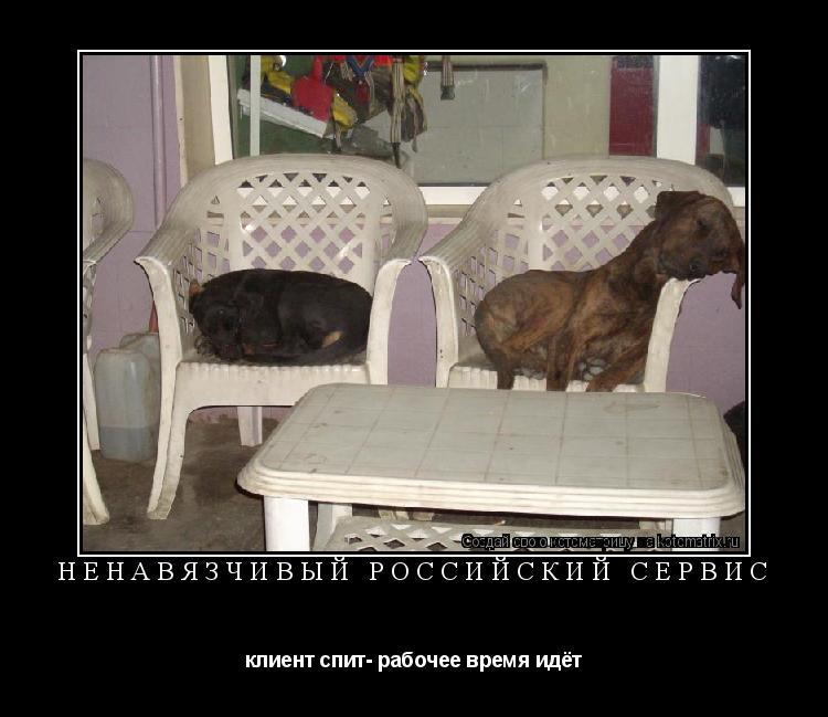 ненавязчивый российский сервис клиент спит- рабочее время идёт... Котоматрица: ненавязчивый российский сервис клиент спит- рабочее время идёт