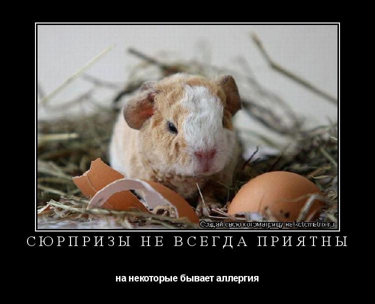 сюрпризы не всегда приятны на некоторые бывает аллергия... Котоматрица: сюрпризы не всегда приятны на некоторые бывает аллергия